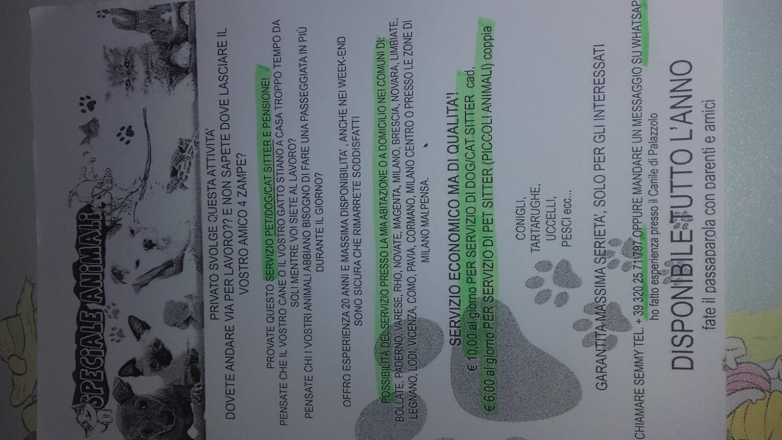 Dog Sitter / Cat Sitter , Piccoli Animali In 20028 San Vittore Olona For €6.00 For Sale | Shpock 1536_x_2731_jpg