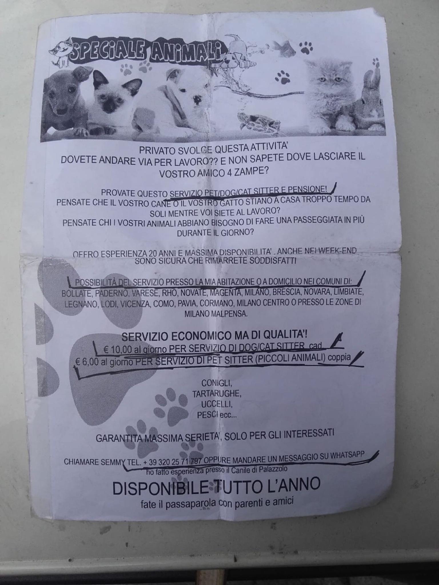 Dog Sitter / Cat Sitter , Piccoli Animali In 20028 San Vittore Olona For €6.00 For Sale | Shpock 1600_x_1200_jpg
