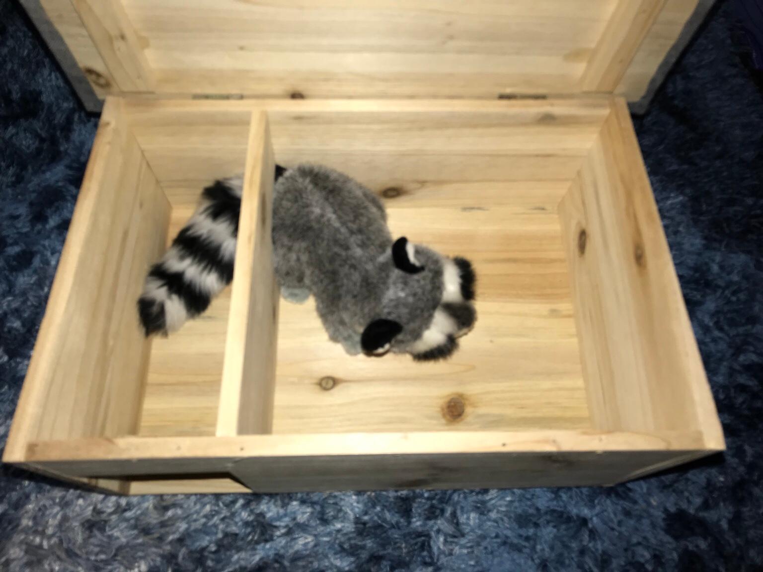 Die meisten kiefern sind äußerst frosthart, windfest und hitzetolerant, brauchen aber einen vollsonnigen standort. Igelhaus Schutzhaus Auslauf KÃ¤fig Massivholz in 4060