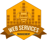 Web Services Management