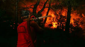 Orman yangınlarını önlemek için neler yapılabilir?