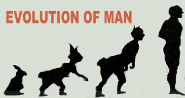 MAN EVOLVED FROM RABBITS - Weekly World News
