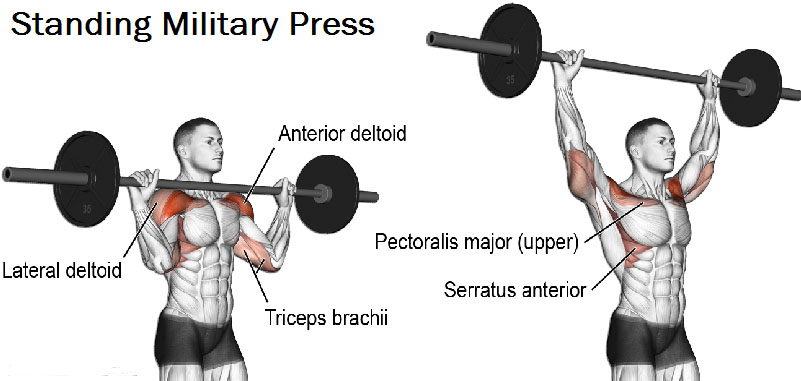 21+ Best Alternative To Bench Press Shoulder Pain : How to Modify Deadlifts for Lower Back Pain - FITNESS PAIN : Last updated on may 20, 2021.