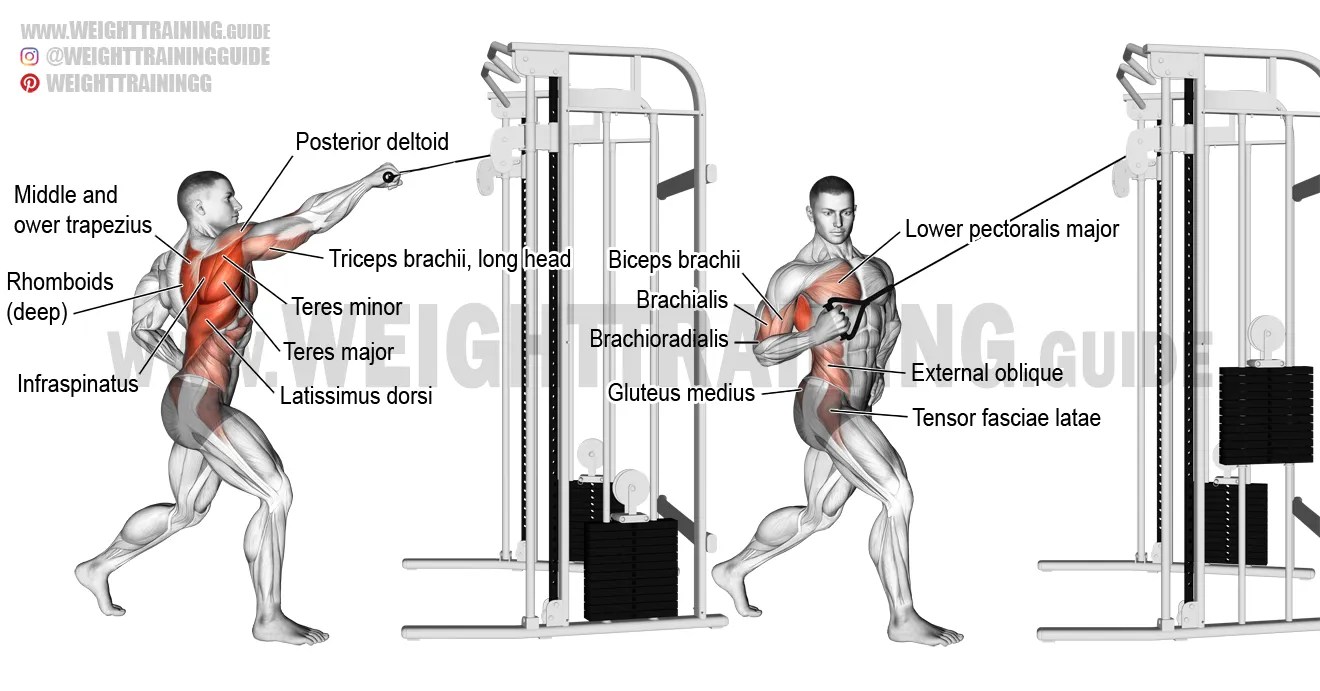 22+ New Workout Bench Target - 3 Exercises To Target Your Inner Pecs & Build a Strong / Grinders work by using an abrasive wheel to sharpen, polish or buff metal objects, but there's more to.