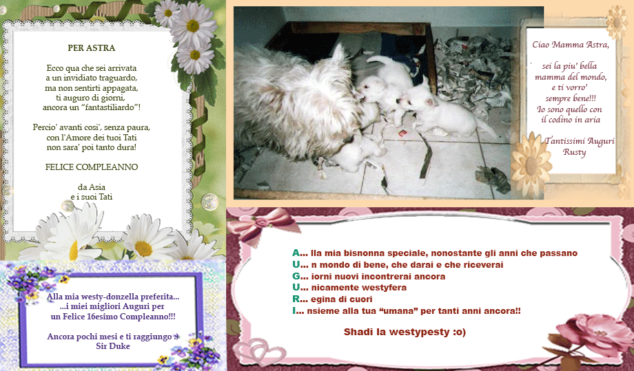 B U O N C O M P L E A N N O A S T R A