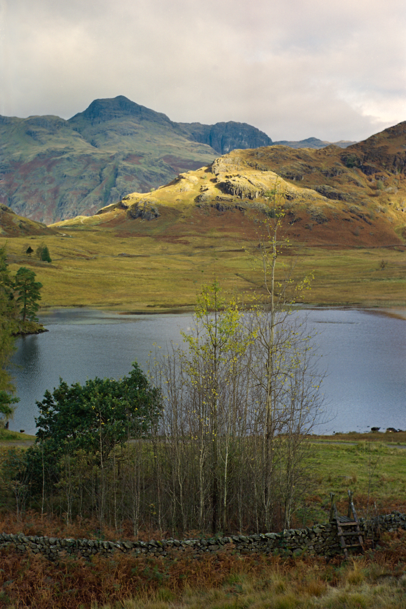 The Art Of Cherry Picking: A Photography Workshop With Mark Littlejohn ...