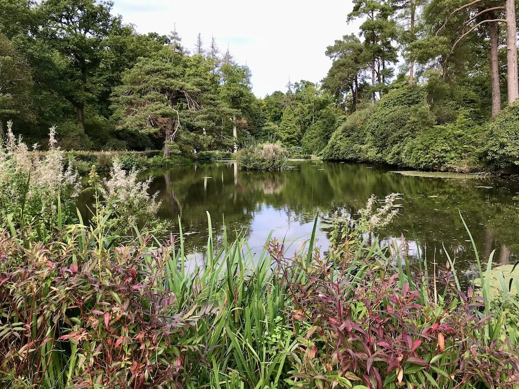 Middle Pond