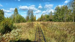 Экскурсия по музею в верхней синячихе Puteshestvie V Proshloe Na Retro Poezde Ekskursiya Po Uzkokolejke Na Torfopredpriyatie