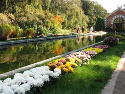 Страница главного ботанического сада им. Vse Kraski Starinnogo Sada S Posesheniem Aptekarskogo Ogoroda