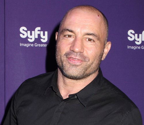 Joe Rogan Wife Age . Joe Rogan Wiki Age Wife Children Family Biography More Wikibio