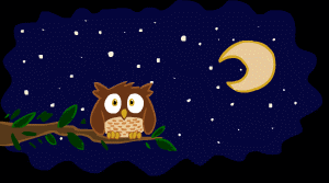 Humour A Wild Eyed Vireo