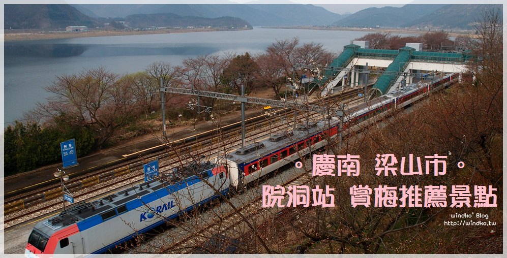 慶南梁山市∥ 賞梅推薦景點＆梅花壁畫村。釜山搭火車無窮花號前往院洞站-純梅園순매원觀賞梅花、院洞梅花壁畫村