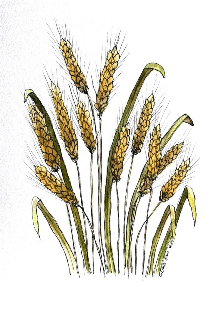 как нарисовать рожу