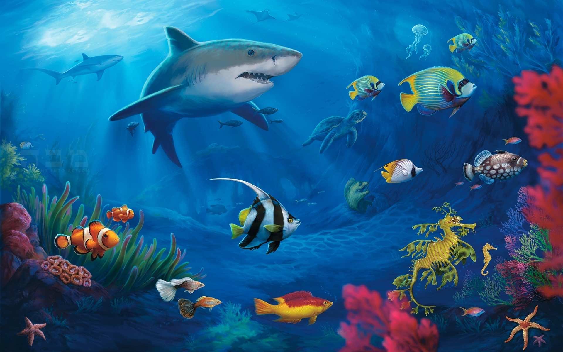 40 Live Wallpapers In 4k Full Hd For Free Download