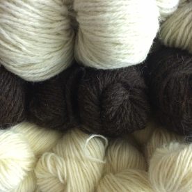 IMG_3976 Natural shades, different breeds