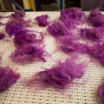 bordermill_6268 dried locks of fibre go through the fibre separator