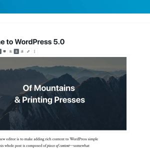 WP Briefing: Episode 80: Unlocking Your WordPress Potential with Learn WordPress Tools