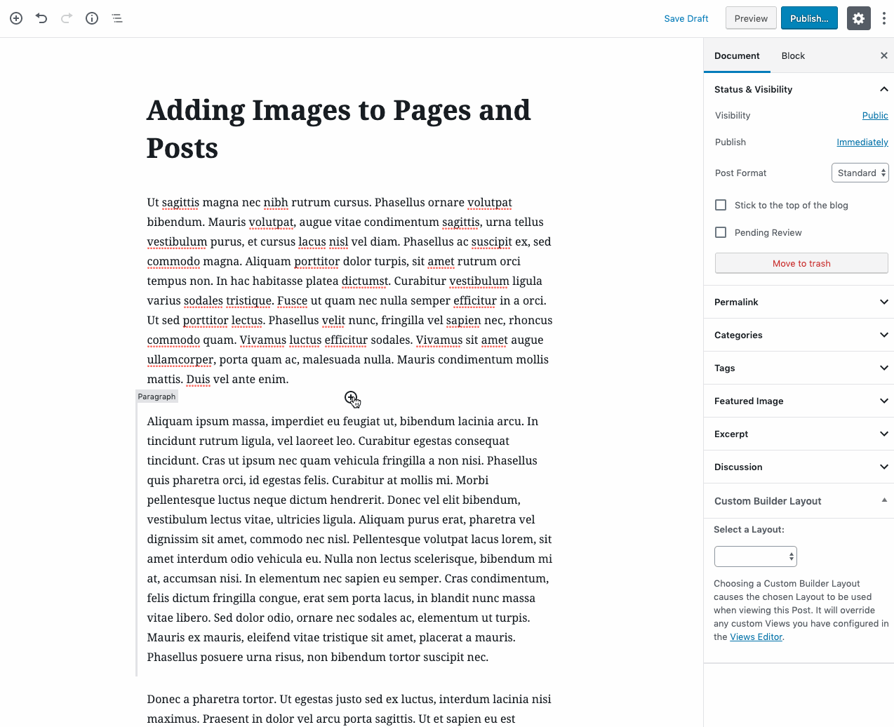 Adding an Image block to the content area of your post or page.