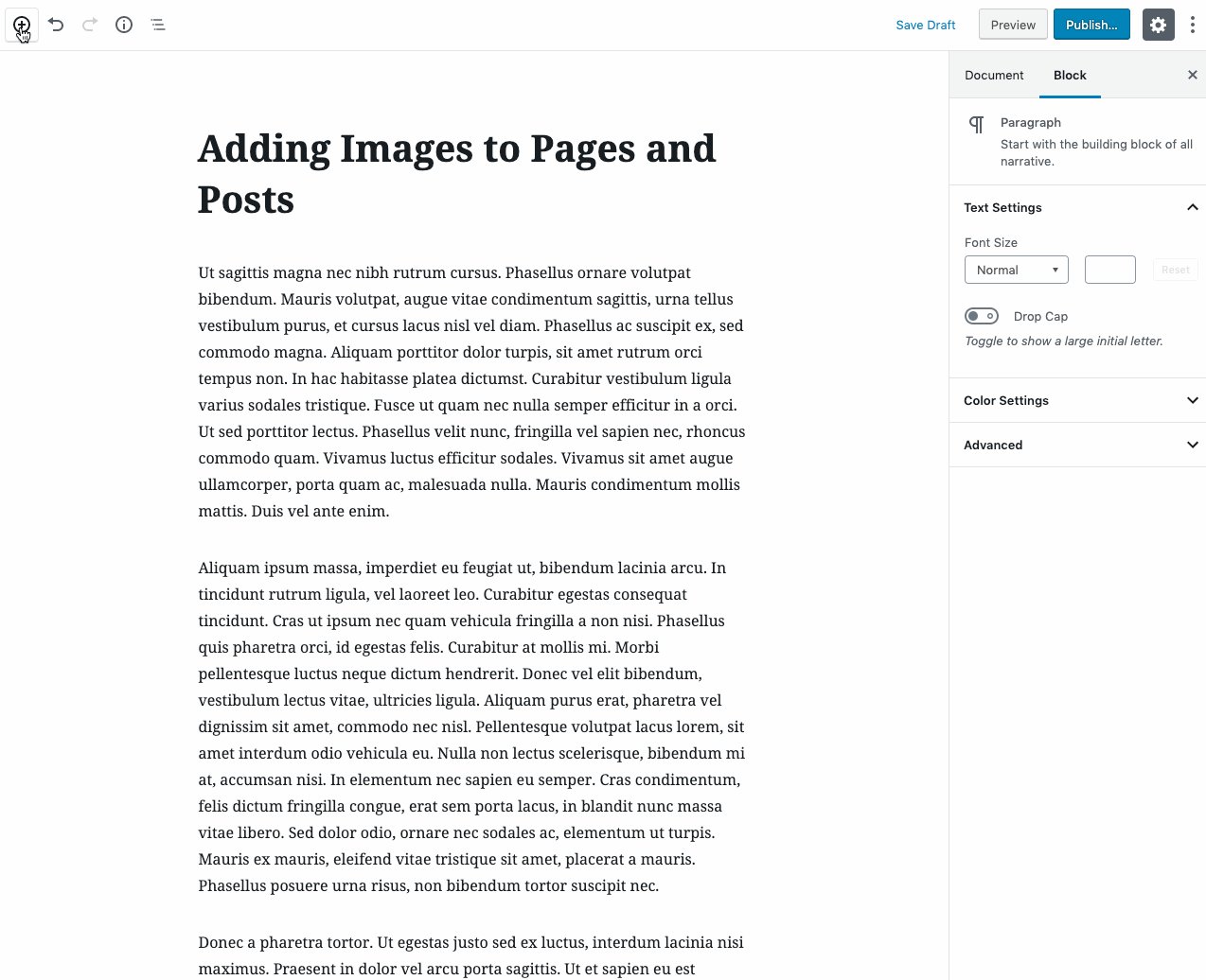 Adding an Image block using the Add Block option in the menu at the top of the page.