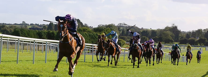 The internet has made it possible for audiences around the world to enjoy sporting events in real time, including live horse racing. Today S Racing Tips Expert Free Every Day Tote