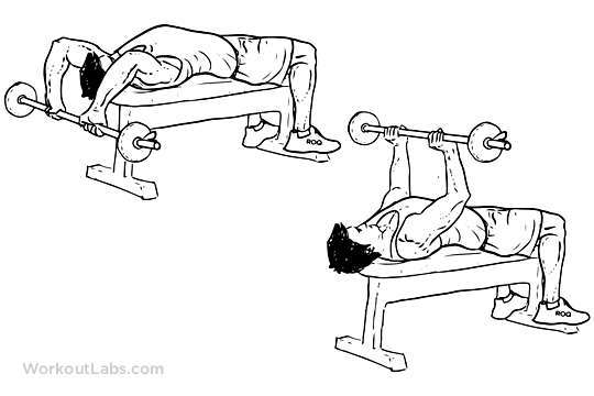 A work bench grinder is useful for tasks like tool sharpening and rounding off sharp thread ends on bolts, according to family handyman. Barbell Pullover / Lying Chest Overhead Extension