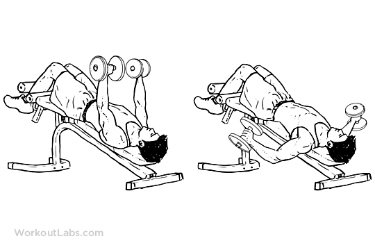 43+ Unique Flat Bench Flys - Dumbbell Flys: What is it, How to do, Muscles Worked - The flye variations · exercise 1 dumbbell flyes · exercise 2 incline dumbbell flyes · exercise 3 flat bench cable flyes · exercise 4 exercise ball .