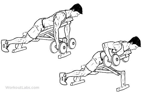 How to do an incline dumbbell bench press with neutral grip:live lean nation, on today's exercise demonstration, i'm showing you how to do . Dumbbell Incline Bench Row | Illustrated Exercise guide