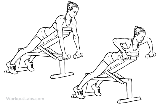 49.61 h x 16.93 w x 9.45 d. Dumbbell Incline Bench Row | Illustrated Exercise guide