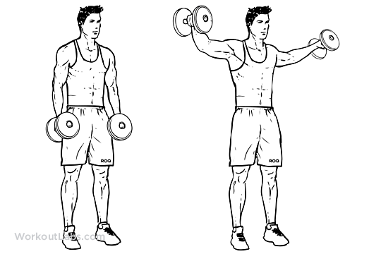 Image result for Lateral Raises