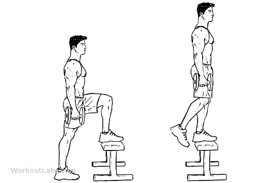 19+ Fresh Step Bench Workout : The Best Leg Workout for Cyclists : Put Your Stems Through : We've assembled 12 ways to squeeze in an extra workout throughout the day, without weights, sweating or cardio machines.