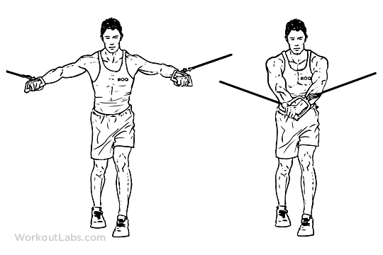 Don't lower the bar with elbows out 90°. Standing Cable Crossover Press / Flyes | WorkoutLabs