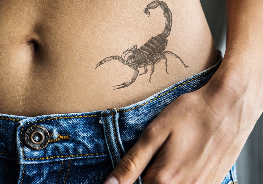 Scorpion Symbolism & Meaning (+Totem, Spirit & Omens) - World Birds 700_x_1000_jpg