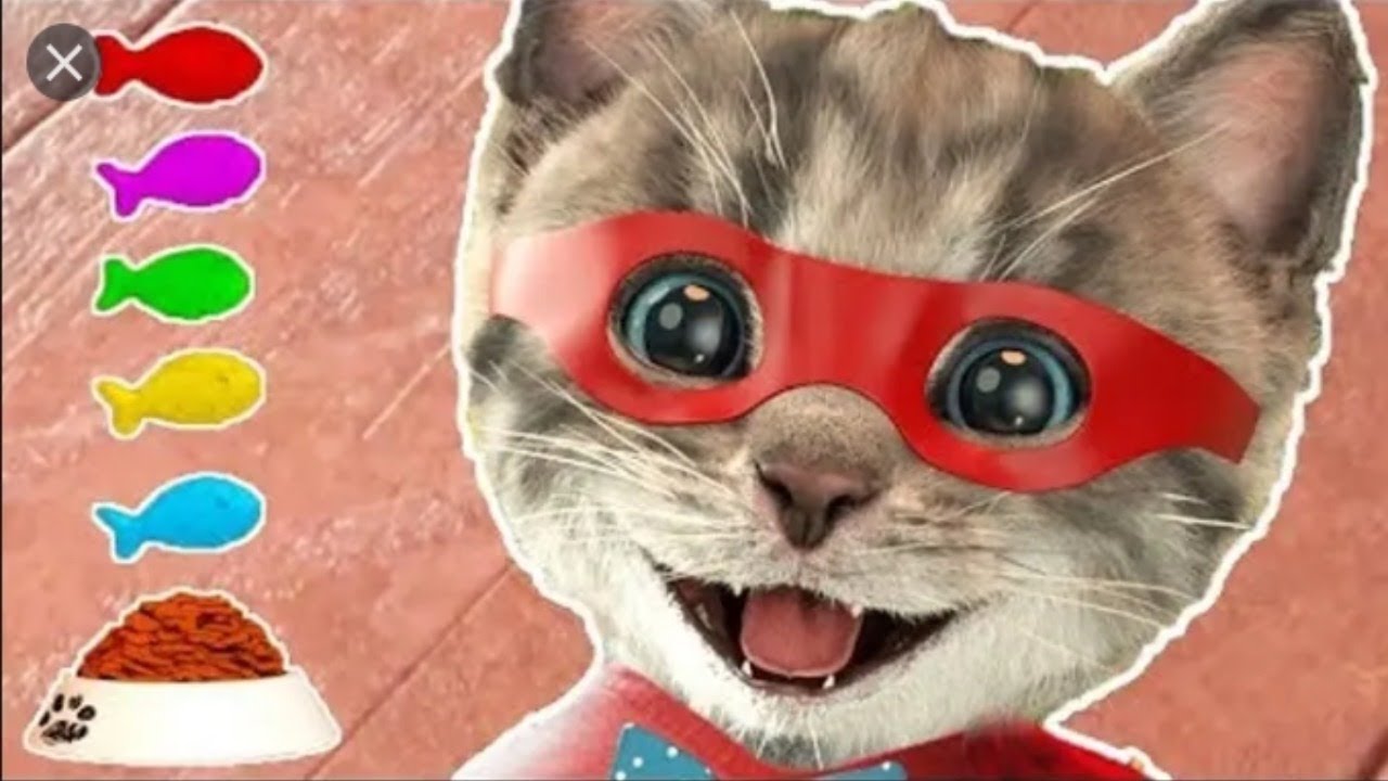 Little Kitten My Favorite Cat Pet Care Play Fun Cute Kitten Care