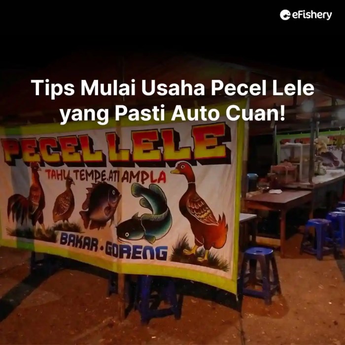 Modal usaha pecel lele