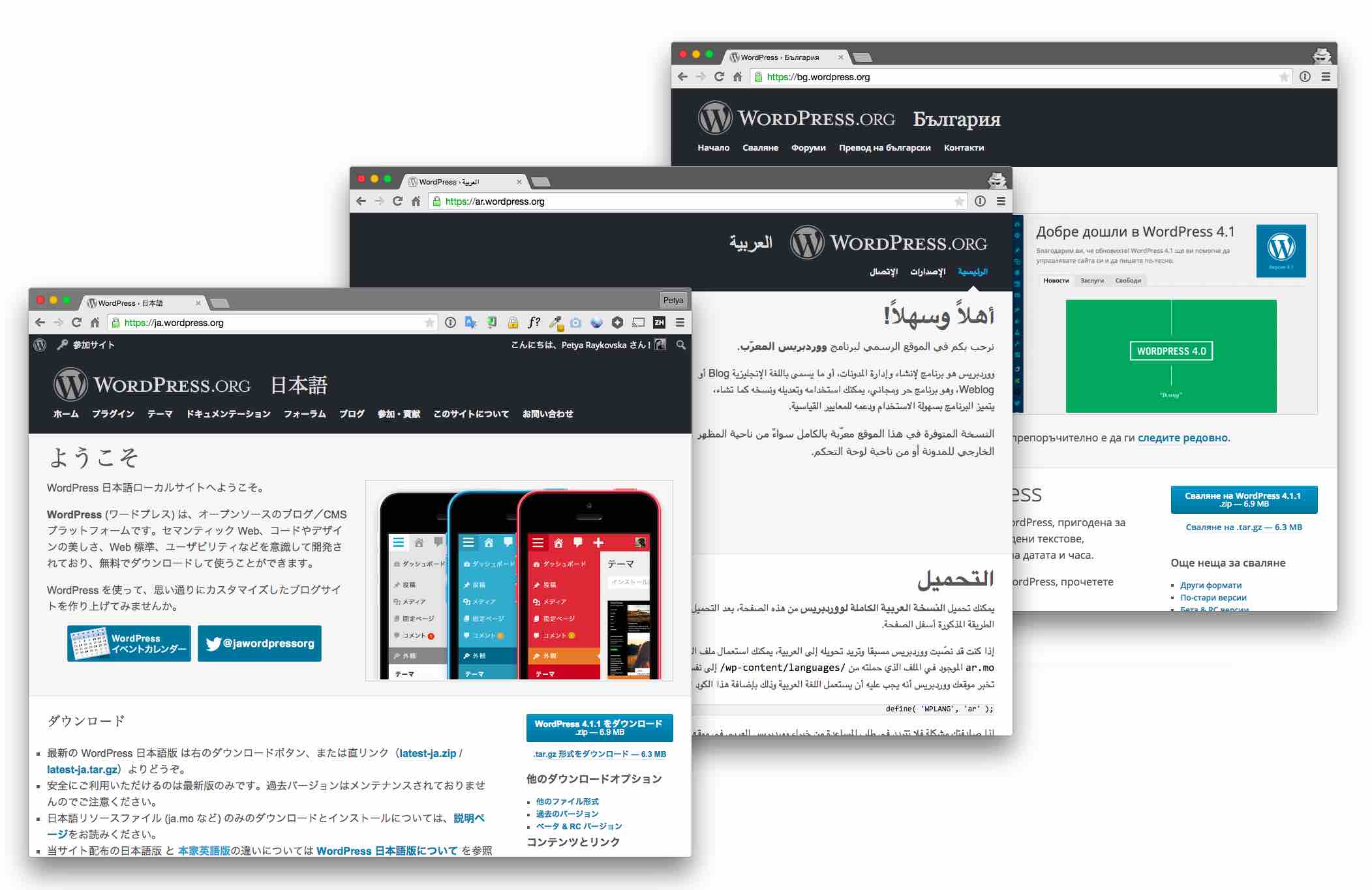 This wordpress multilingual plugin creates separate posts per language and connects them. Wordpress Multilingual Finally Explained