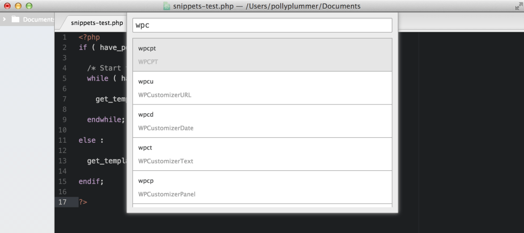 wp-dev-snippets