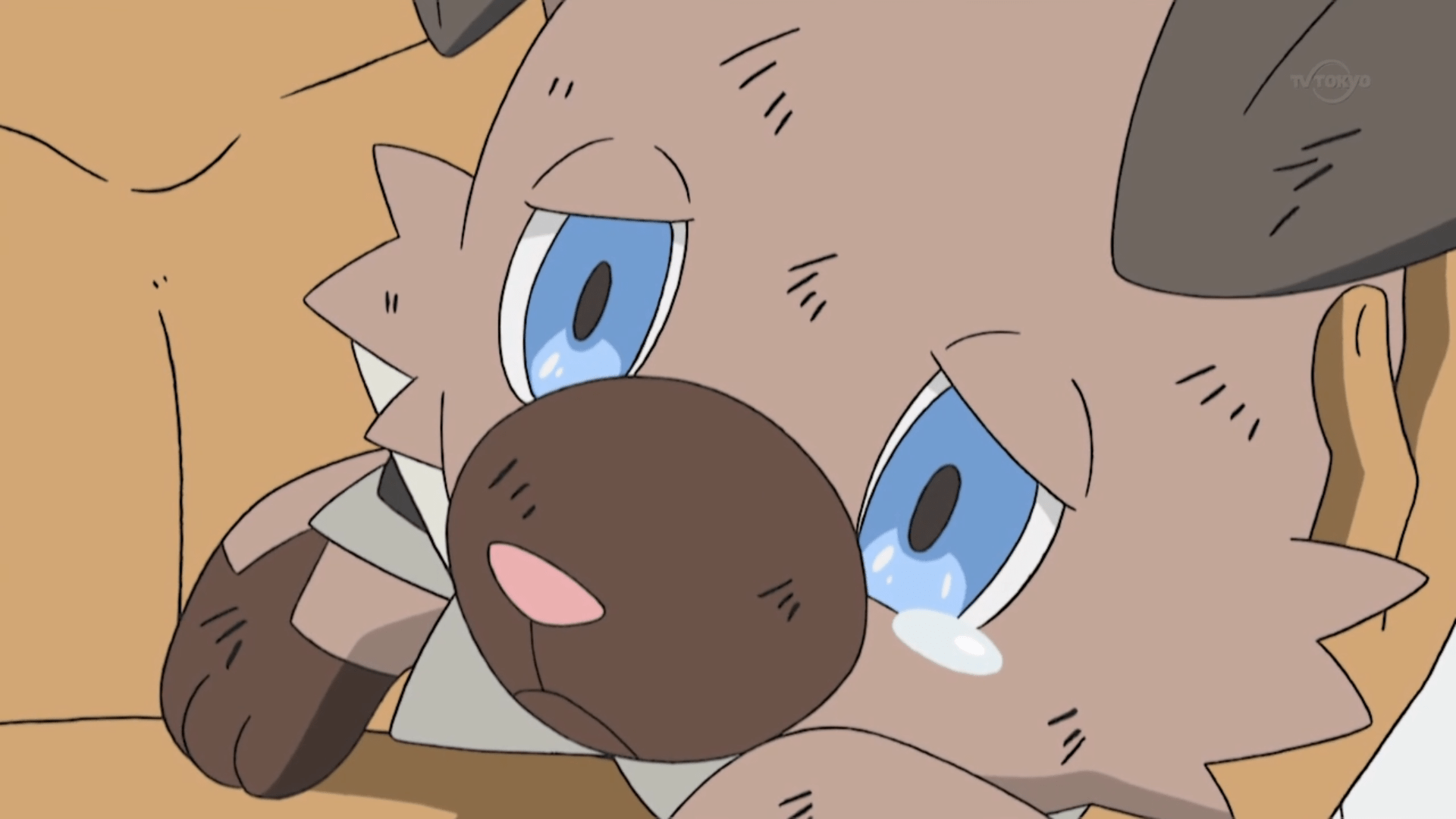 Rockruff Hentai