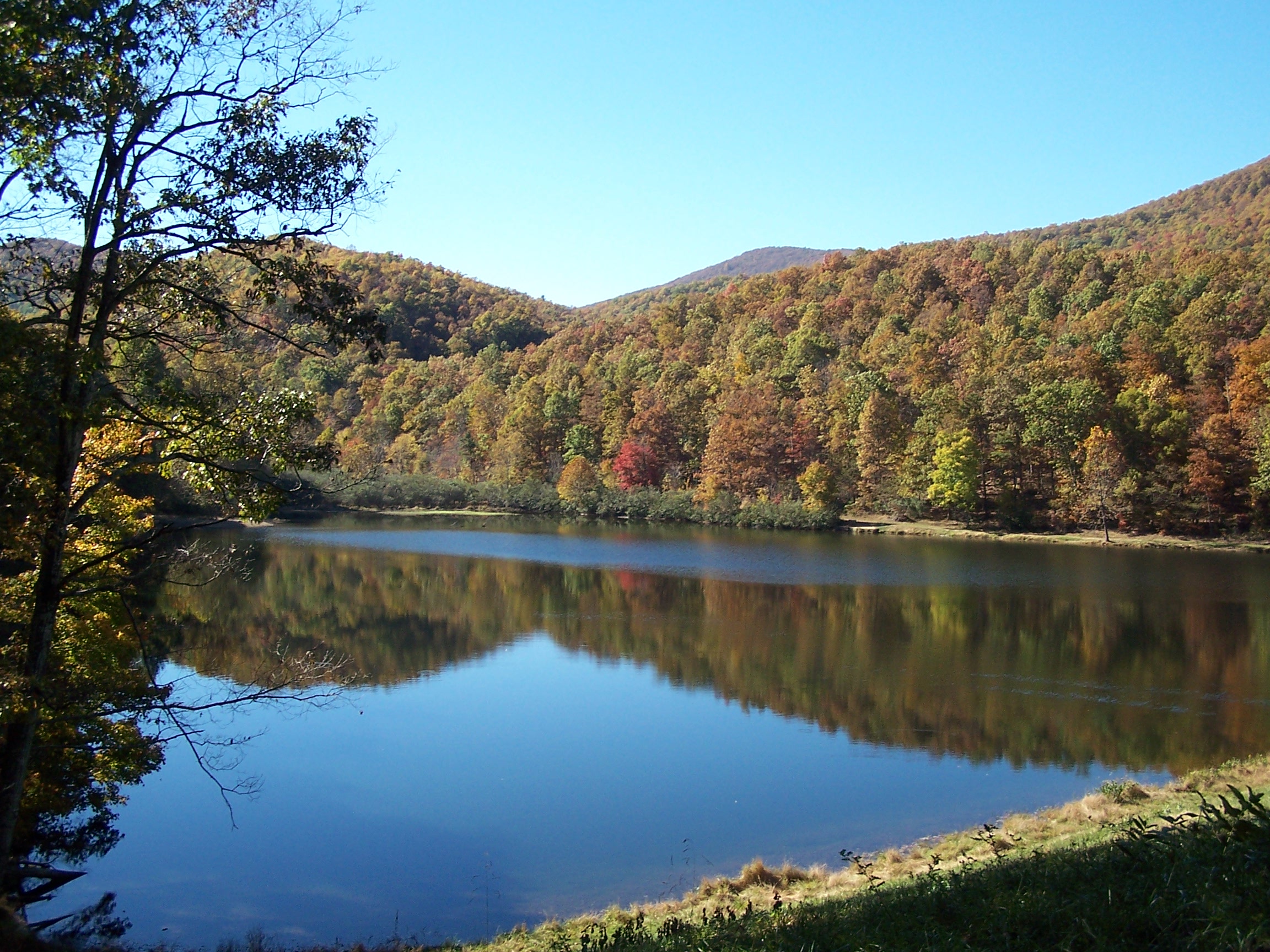 View 103 homes for sale in luray, va at a median listing price of $249,900. Introducing - The Cabin Creekwood Family Adventure Package