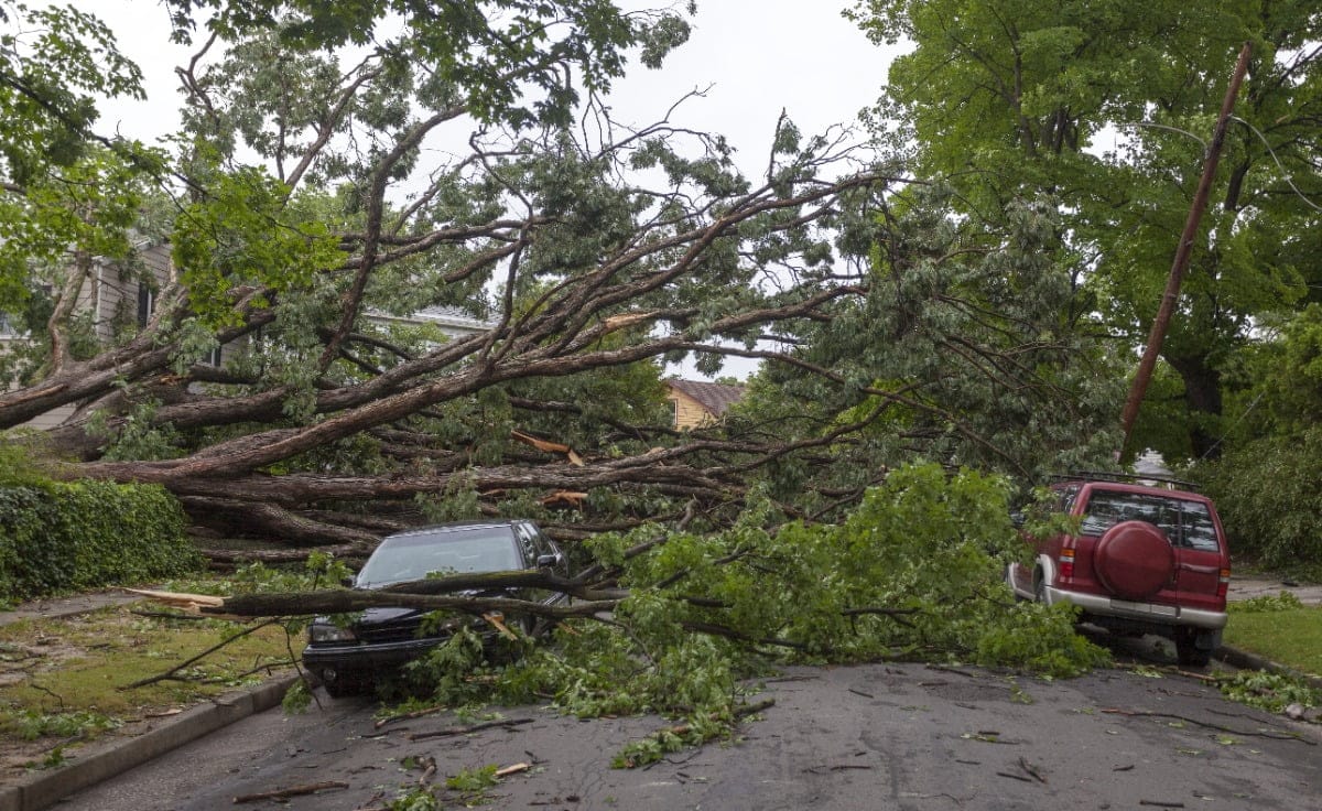 Average pilot catastrophe services claims adjuster yearly pay in the united states is approximately $73,842, which is 30% above the national . The Truth About Working As A Texas Cat Adjuster 2021training Com