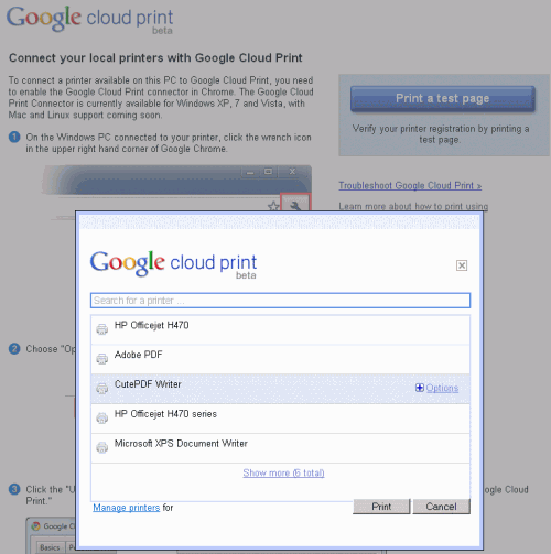 google cloud print test page