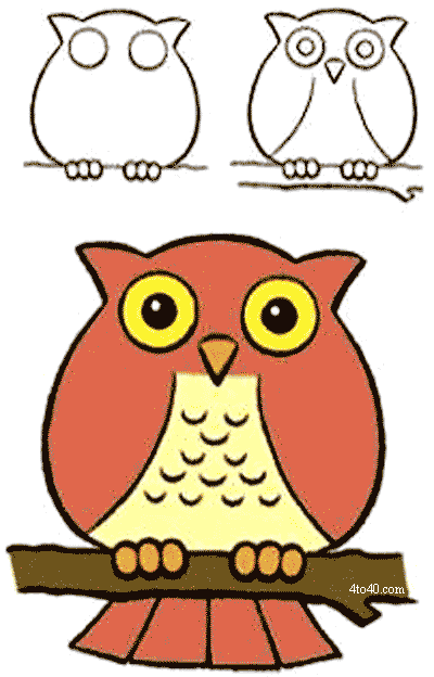 Perhaps it's because they're one of the most mysterious. How To Draw An Owl Kids Portal For Parents