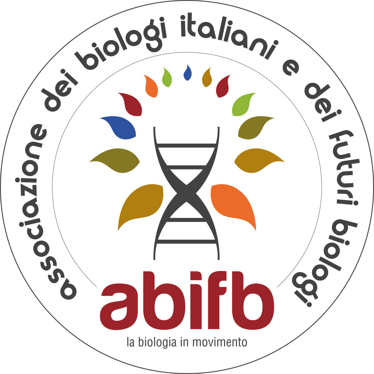 Abifb | Il Sito Dell'associazione 1200_x_1200_png