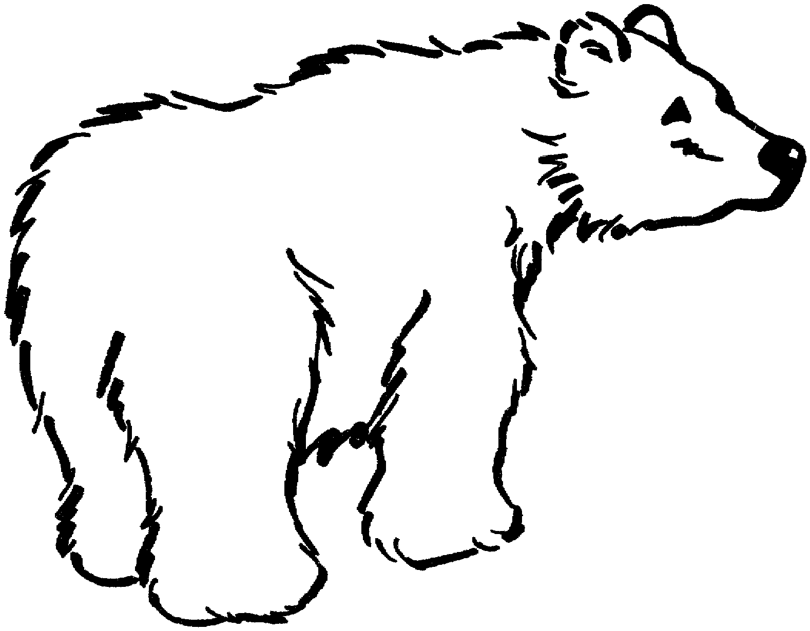 Download and print these cute teddy bear coloring pages for free. Free Bear Coloring Pages