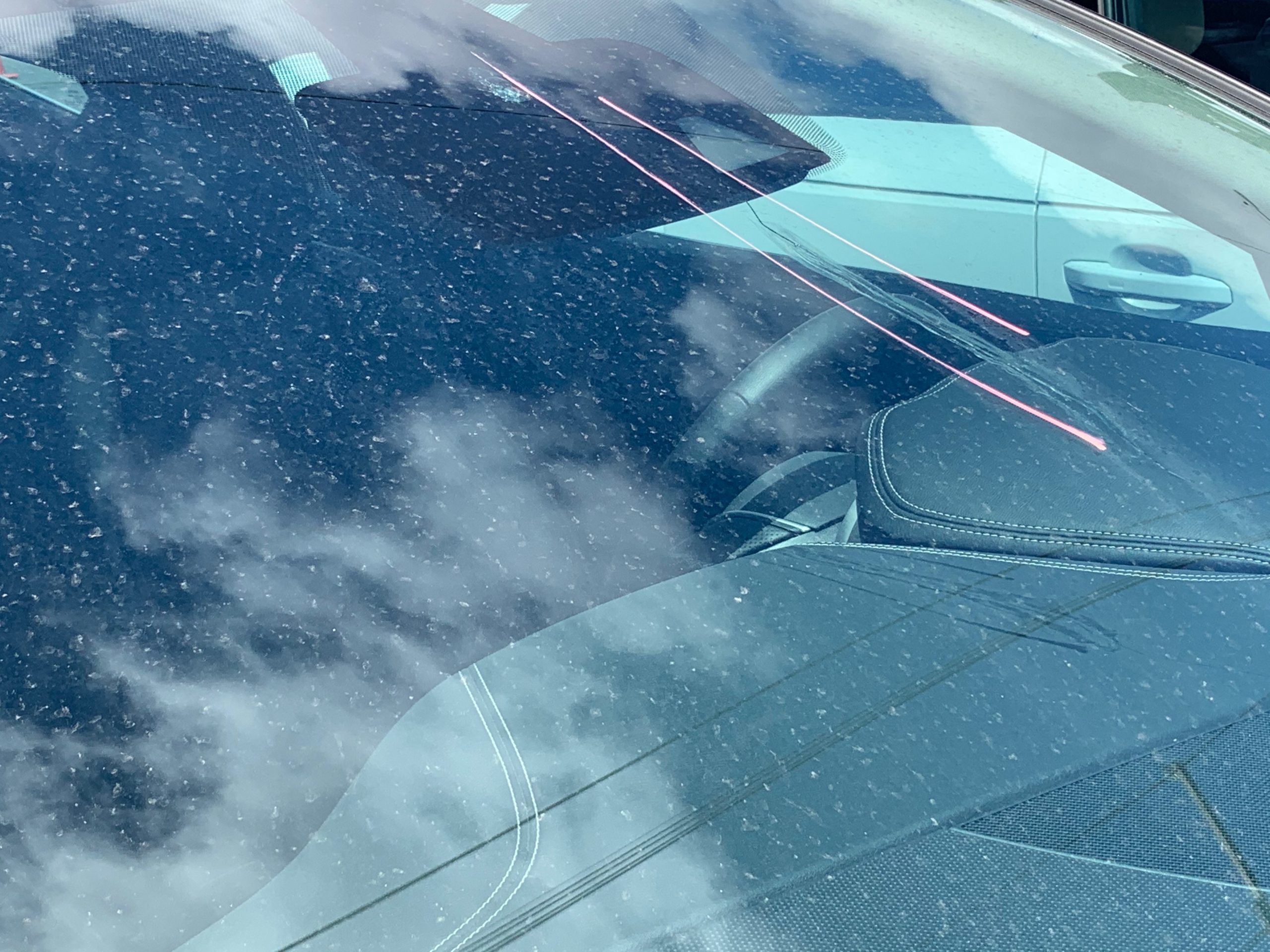 The tamaye family built their business with the. Ace Auto Glass Business Accounts Ace Auto Glassace Auto Glass