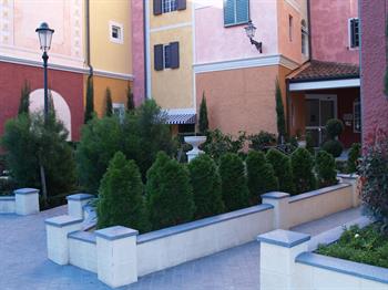 One trick is to use a variety of different coloured foliage plants and different shapes planted . Garden Design Ideas With Conifers Study Learn Garden Design At Home