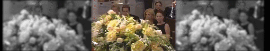 If you rely on a lot of canned goods for your family's food prep, then you need the best can opener, electric or manual, in your kitchen. How To Play Flash Games In 2021 Addicting Games