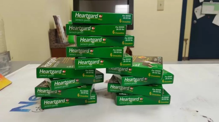 Where can I buy heartworm medicine now