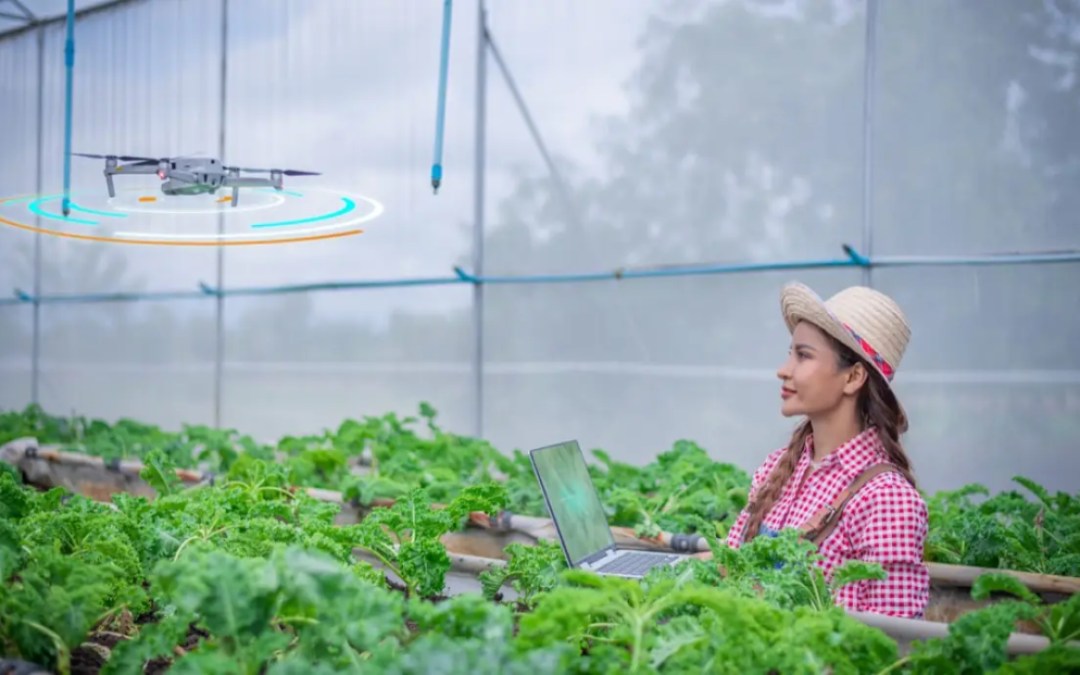 Protecting Crops with AI: Smart Pest Control for Better Yields | Agri Farming Protecting Crops with AI: Smart Pest Control for Better Yields | Agri Farming