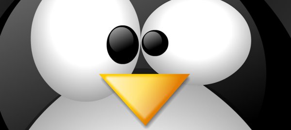 Latest Linux Vulnerabilities Will Make You Feel Insecure Alien Coders