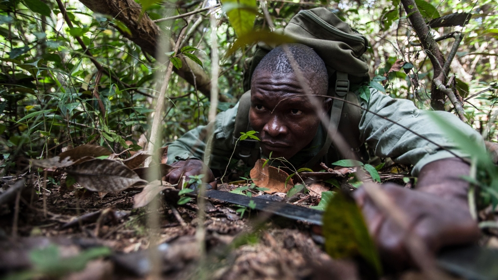 The appropriation act, 2019 no. Sierra Leoneâs ex-civil war fighters battle poachers